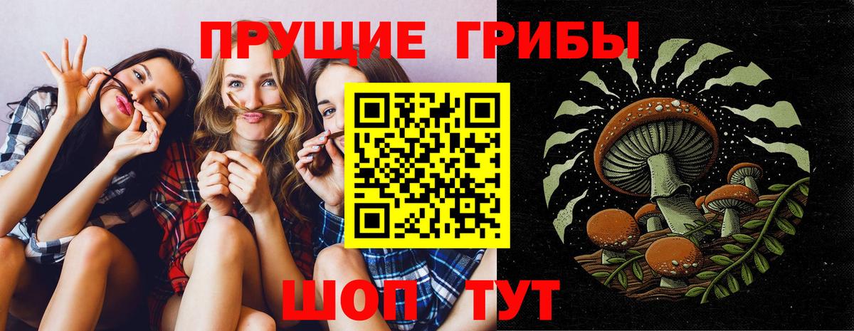 Псилоцибиновые грибы Cubensis Стрежевой