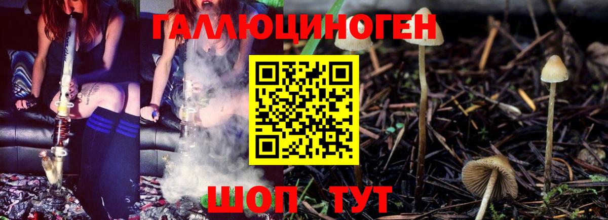 Галлюциногенные грибы мухоморы  Галлюциногенные грибы Cubensis  Вход с VPN  Стрежевой 